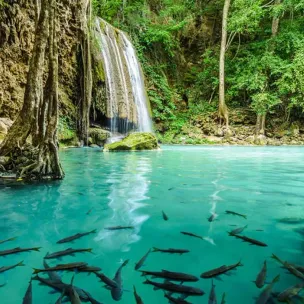 칸차나부리/에라완