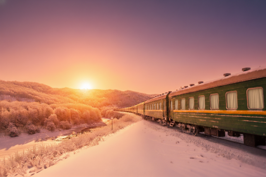 밝은미래여행사