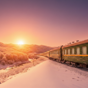 밝은미래여행사