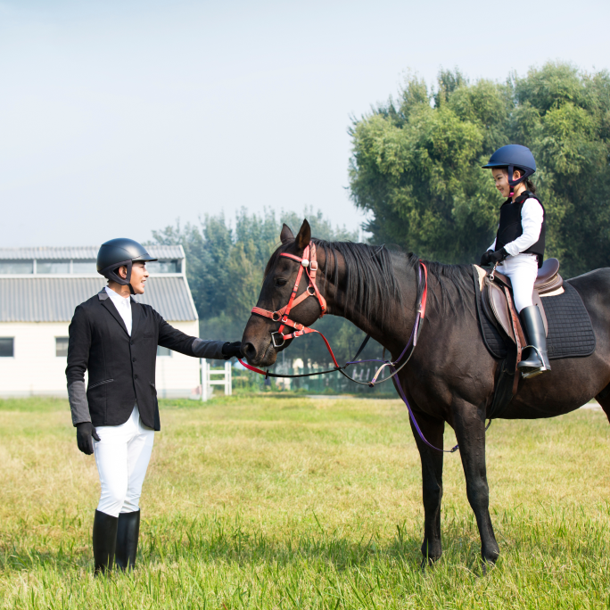제주 인기 액티비티 & 체험 추천