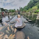 poto review image