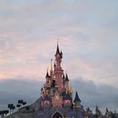 poto review image