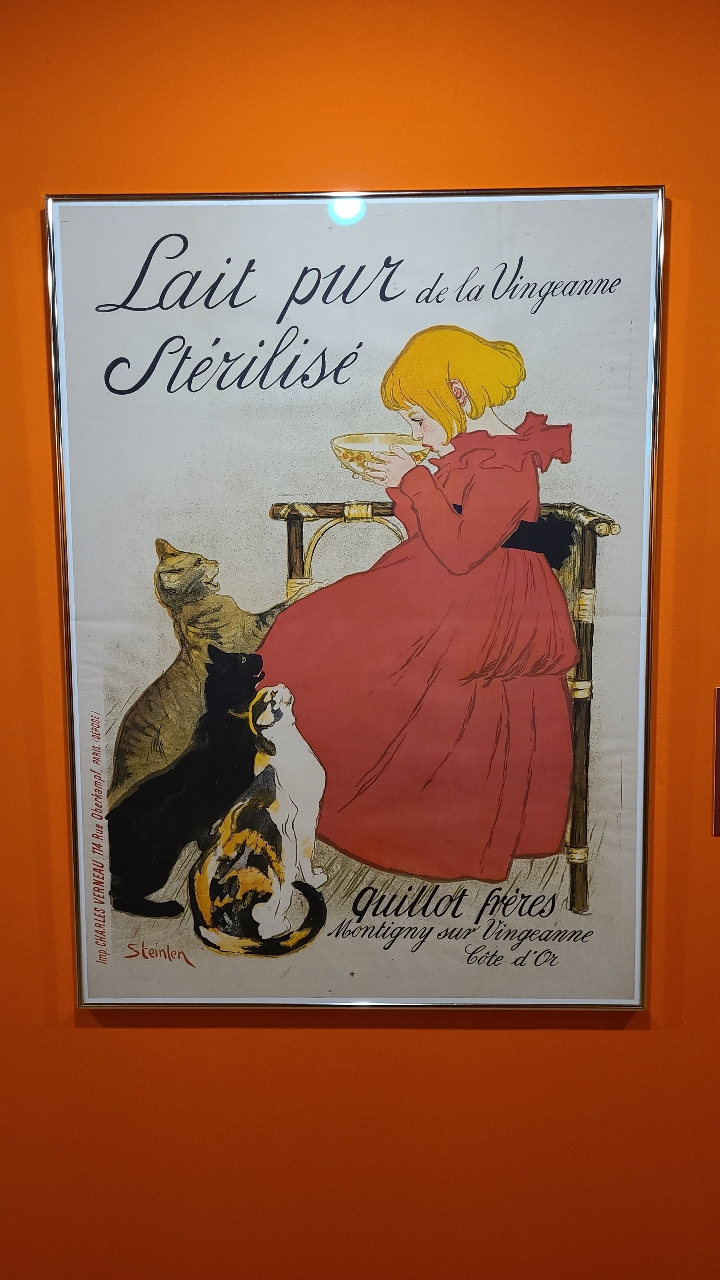 poto review image