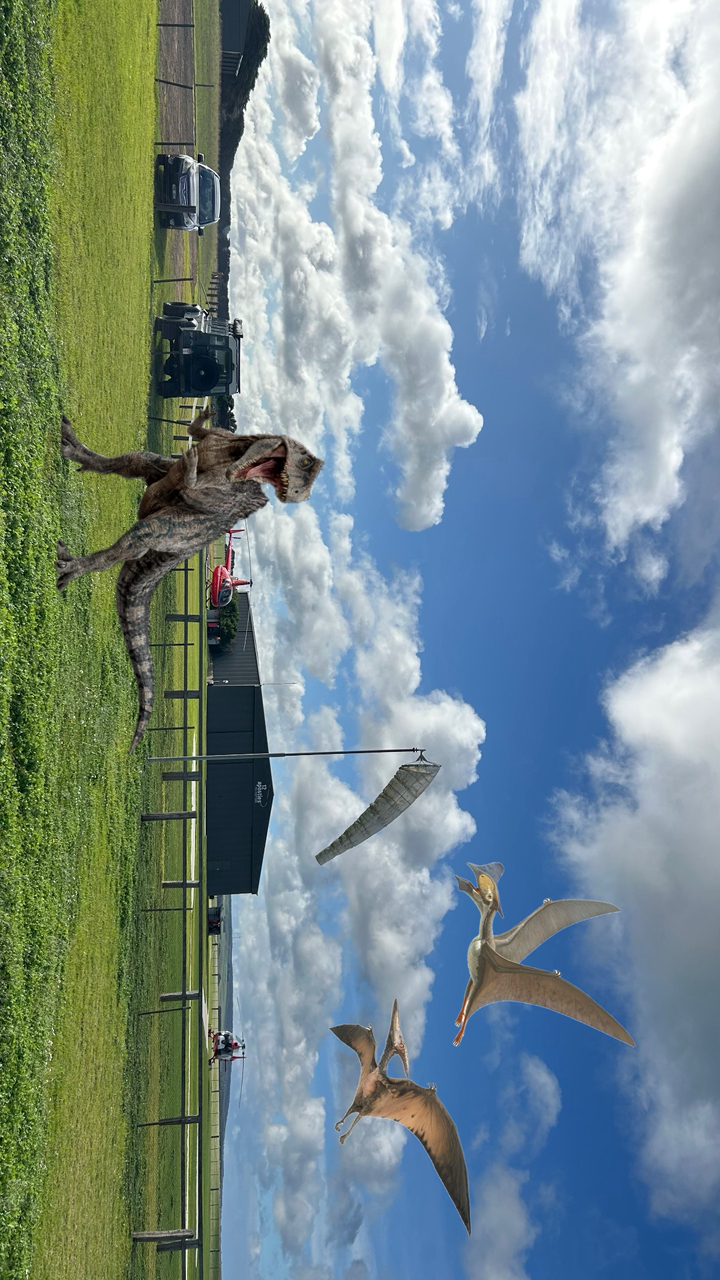 poto review image