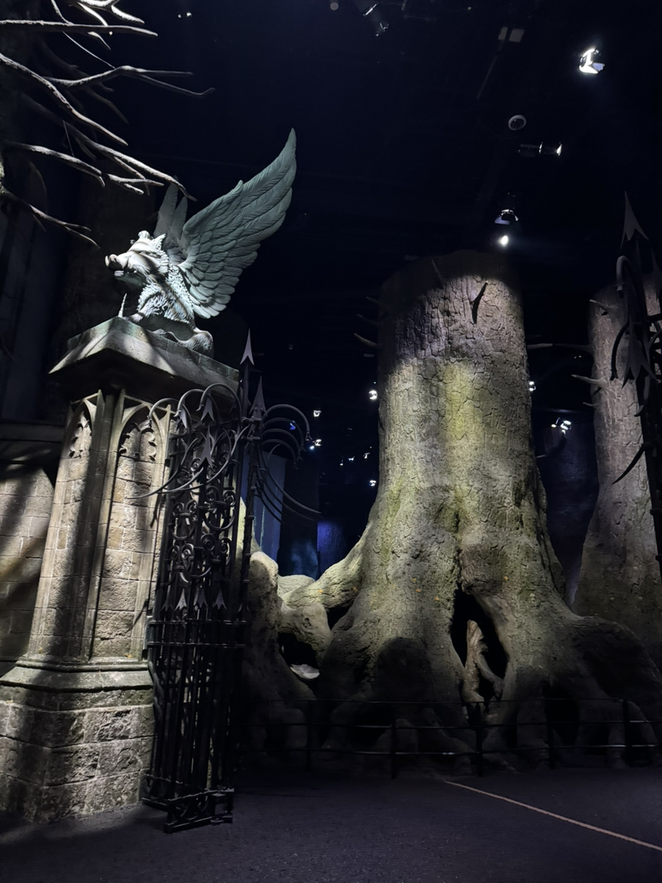 poto review image