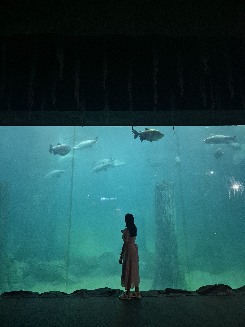 poto review image