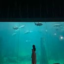 poto review image