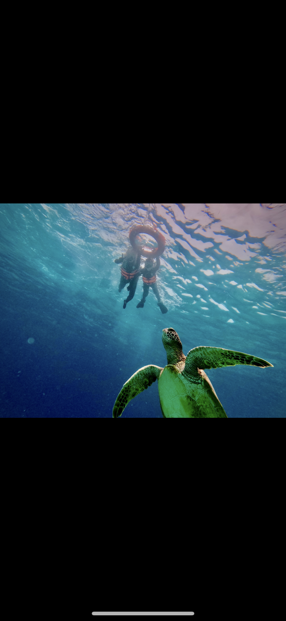 poto review image