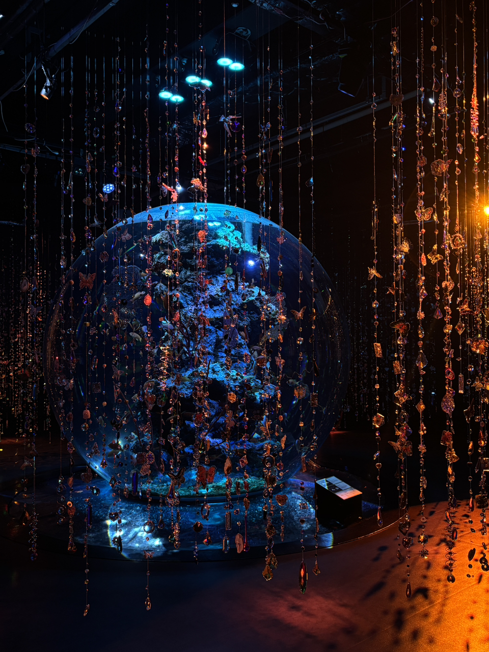 poto review image