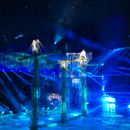 poto review image