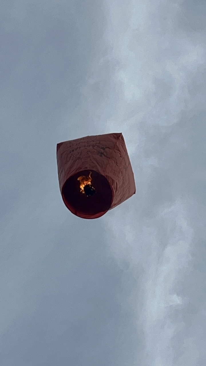 poto review image