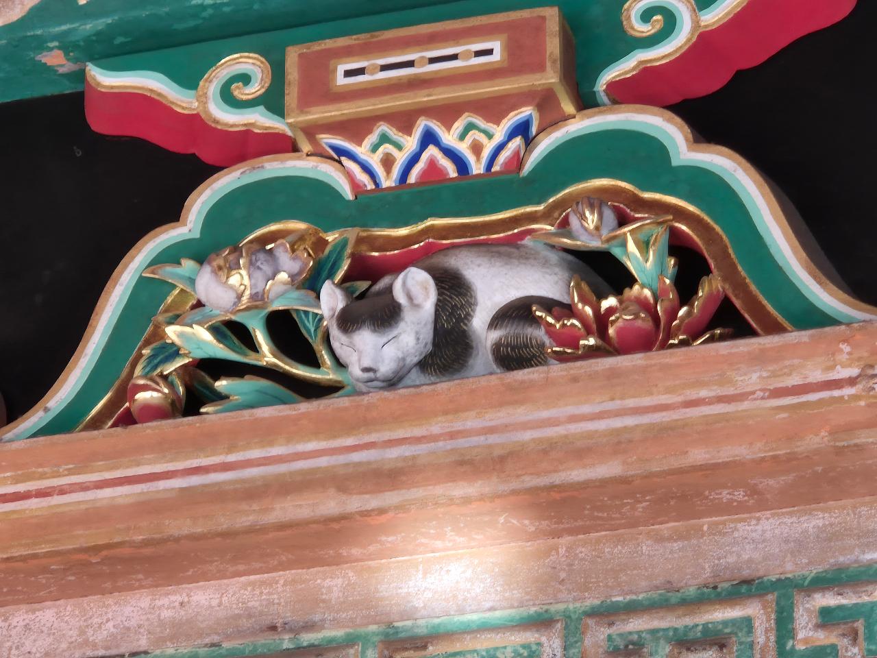 poto review image