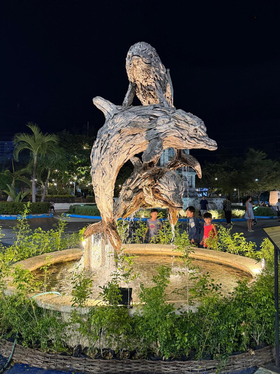 poto review image