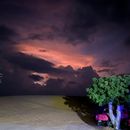 poto review image