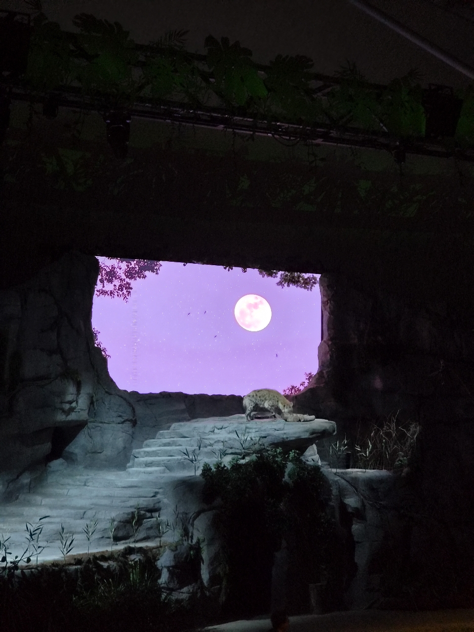 poto review image