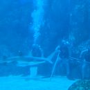 poto review image