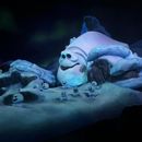 poto review image