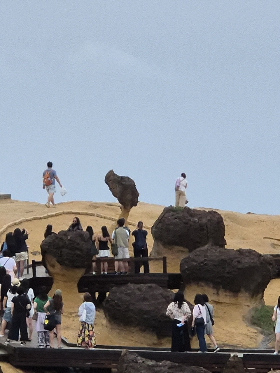 poto review image