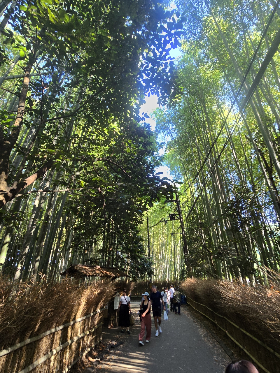 poto review image
