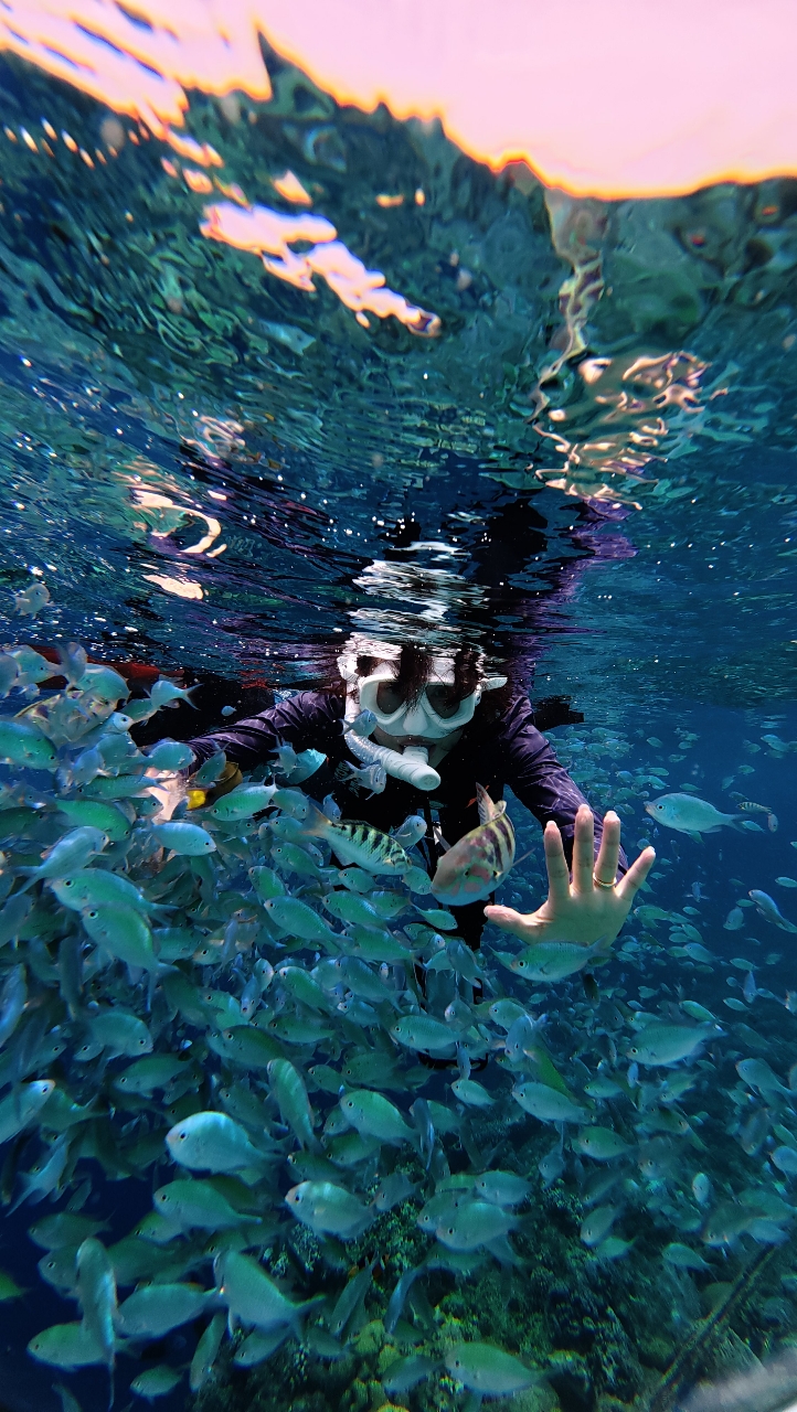 poto review image
