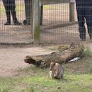 poto review image