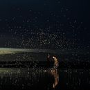 poto review image