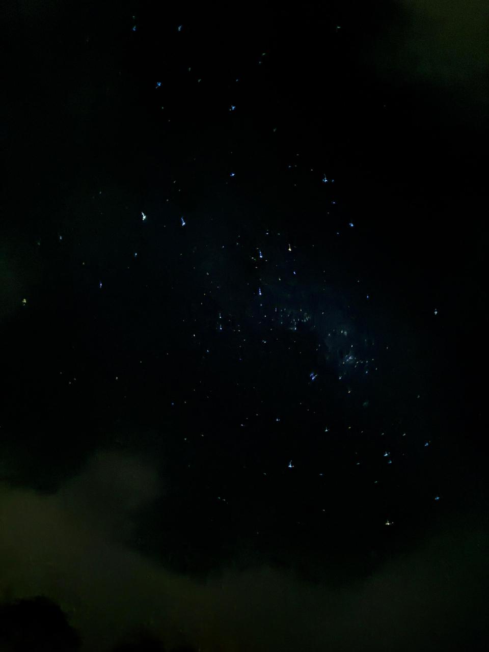 poto review image