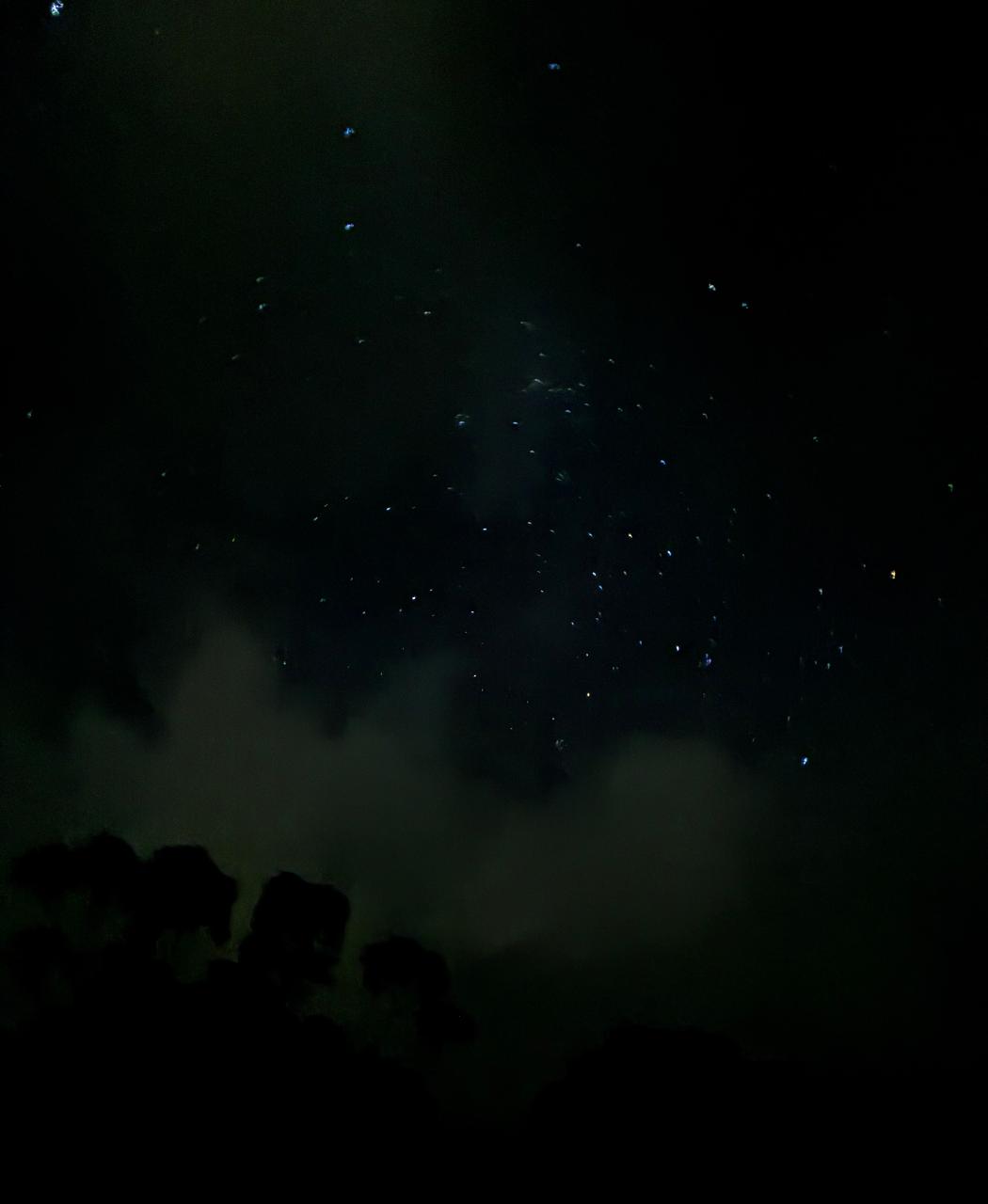 poto review image