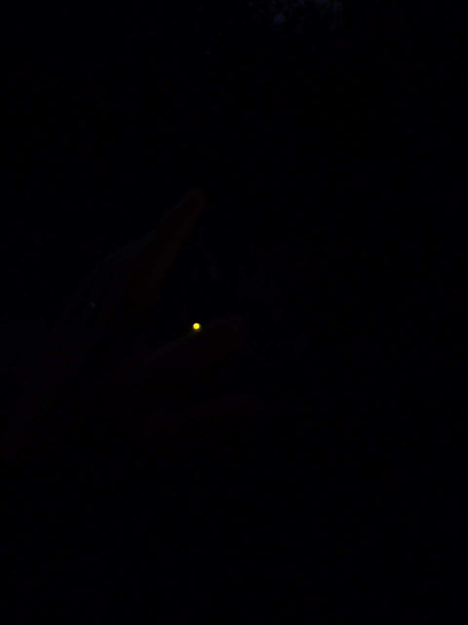 poto review image