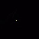 poto review image