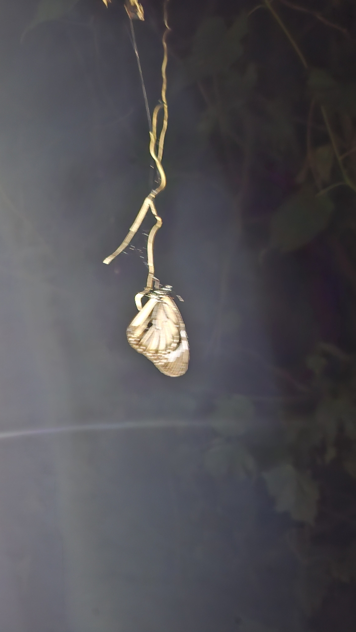 poto review image