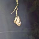poto review image