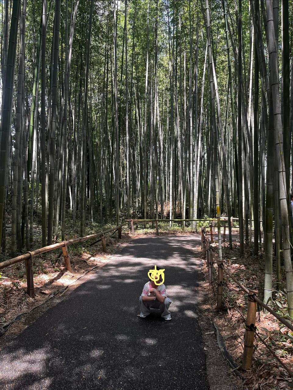 poto review image