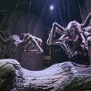 poto review image