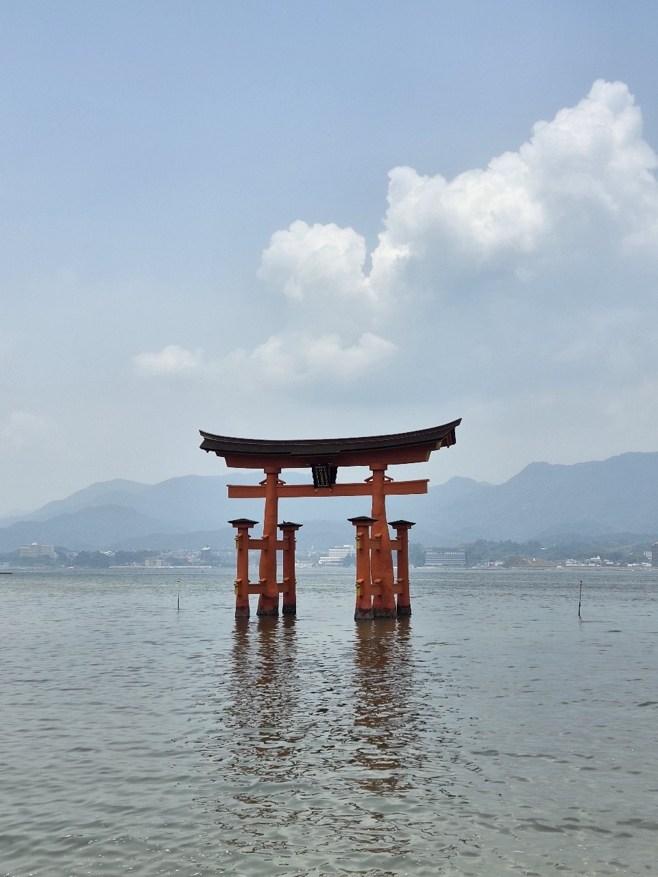 poto review image
