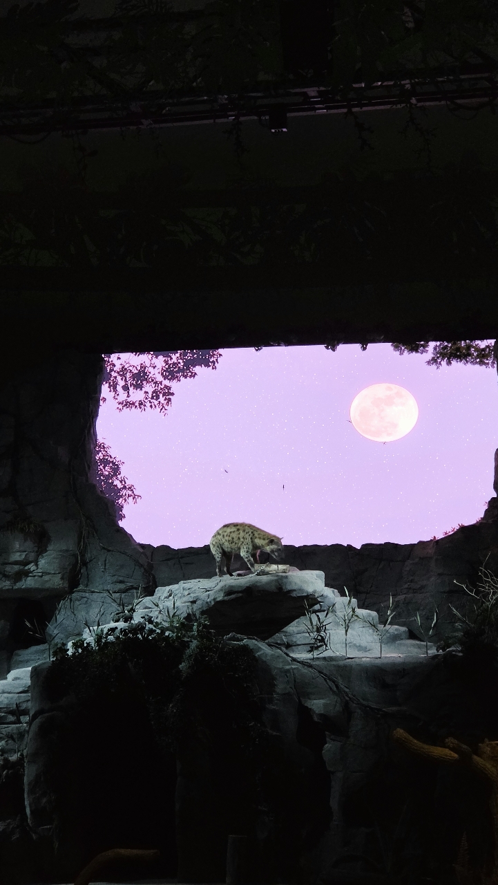 poto review image