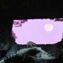 poto review image