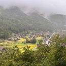 poto review image
