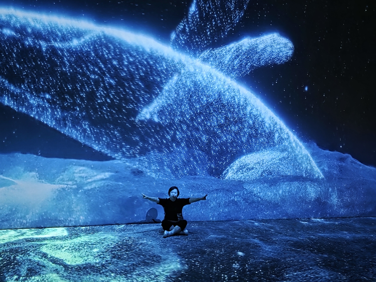 poto review image