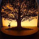 poto review image