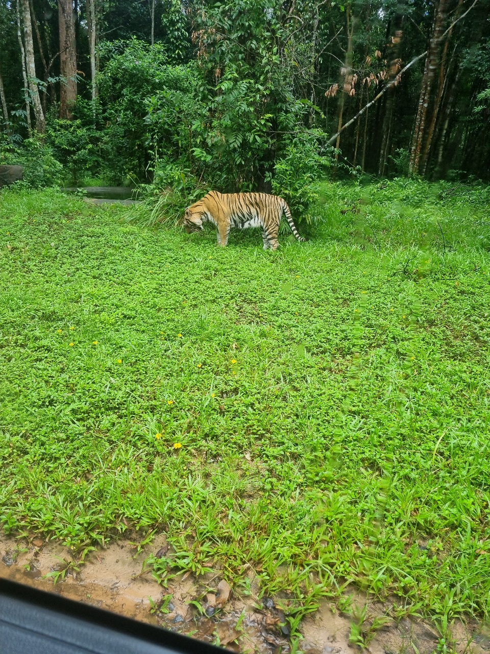 poto review image