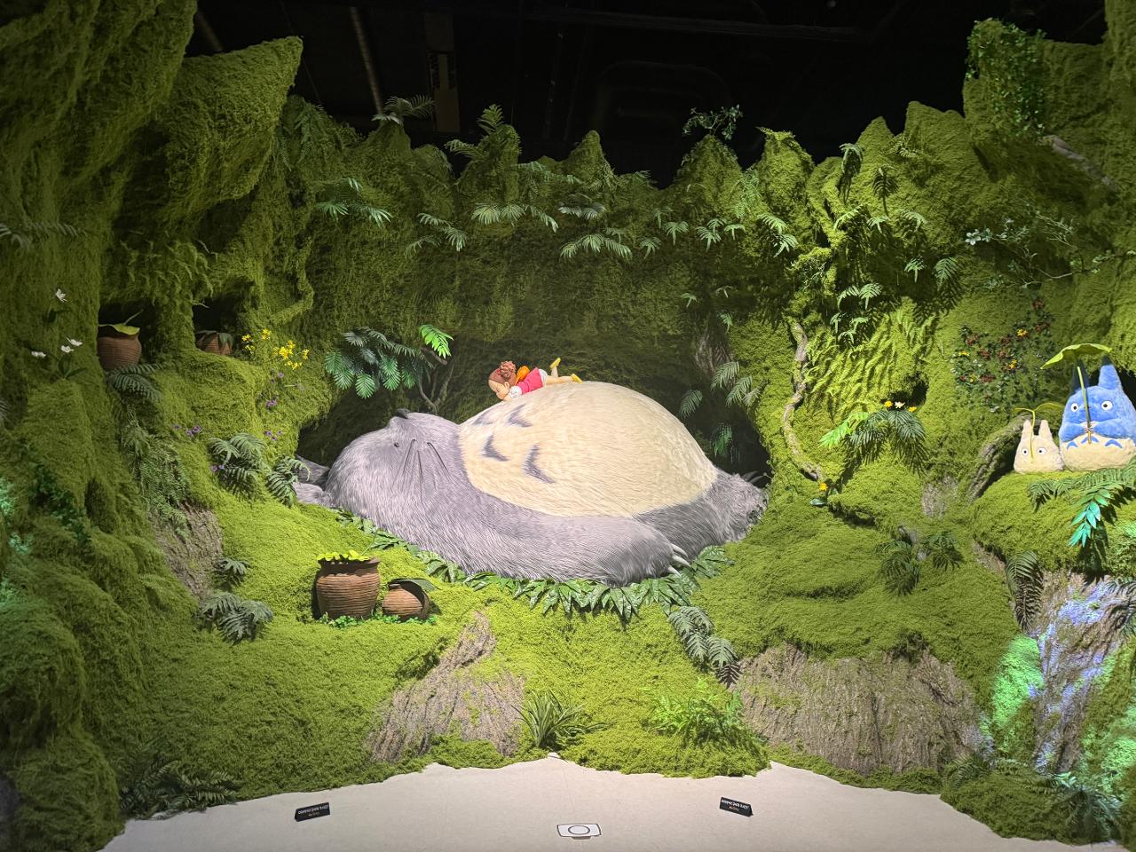 poto review image