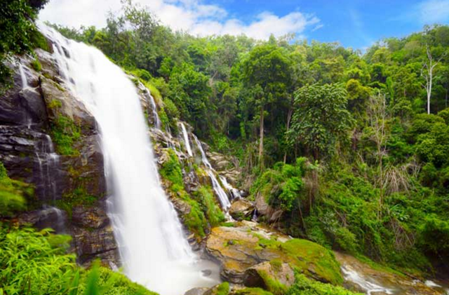 치앙마이 도이인타논 국립공원 2시간 트래킹 단독 투어