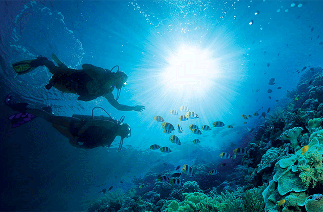 보라카이 체험 스쿠버 다이빙 투어