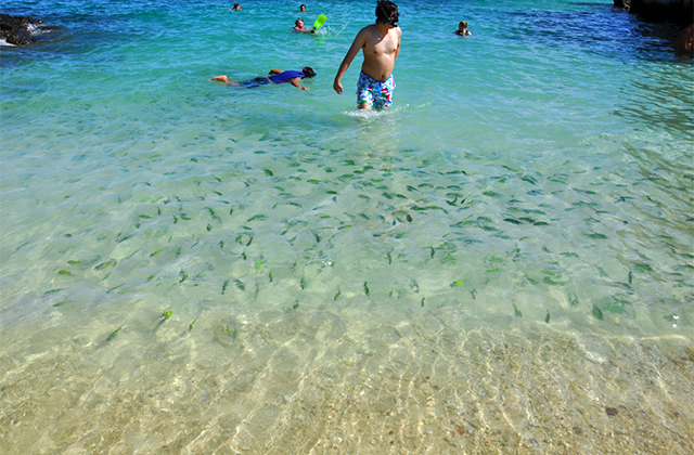 activity_detail_image