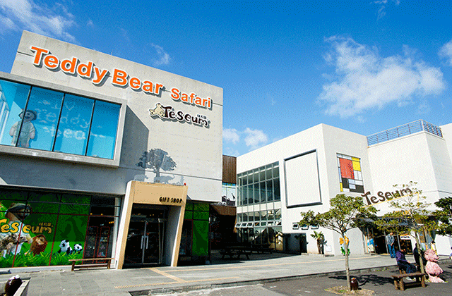 제주 테디베어하우스 테지움 입장권