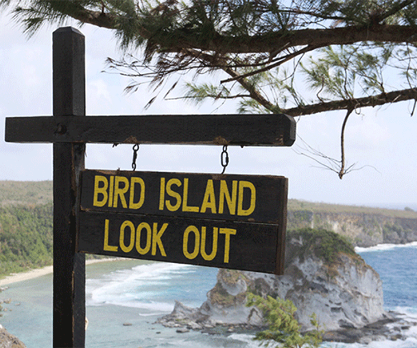 activity_detail_image