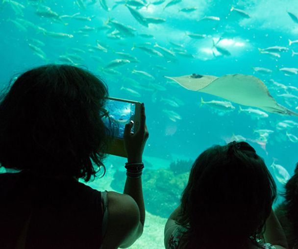 activity_detail_image