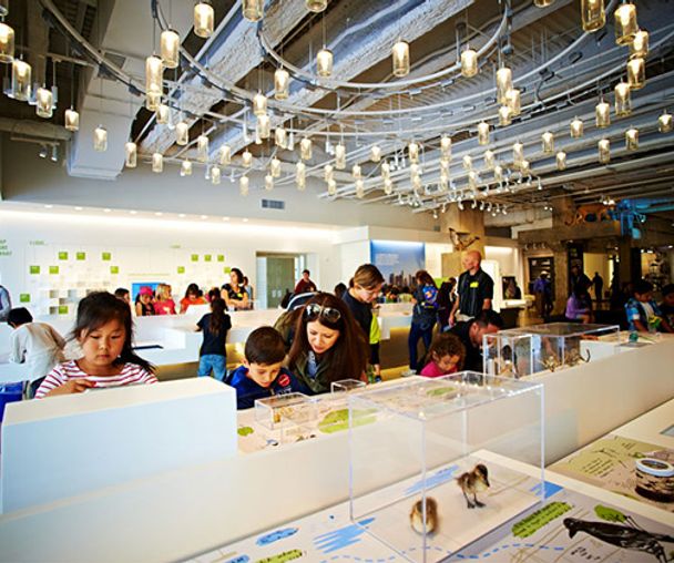 activity_detail_image