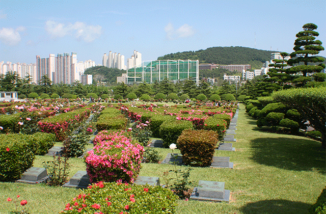 부산 시티 버스투어
